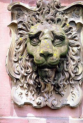 Lion, Face, Heidelberger Schlossruin, Heidelberg Castle, K?nigstuhl Hillside, Baden-W?rttemberg, German, Karlsruhe, landmark