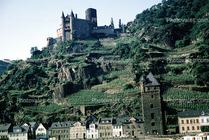 Tower, Castle, Hilltop, Vineyards, Homes, Buildings, Rhine River, South of Koblenz, (Rhein), 1950s