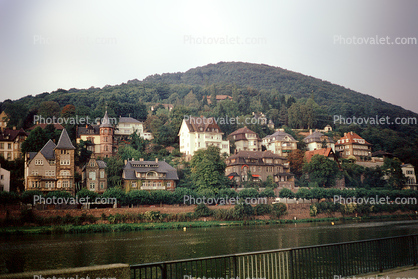Homes, Houses, Village, Town, Hilltop, Mountains, Rhine River, (Rhein)