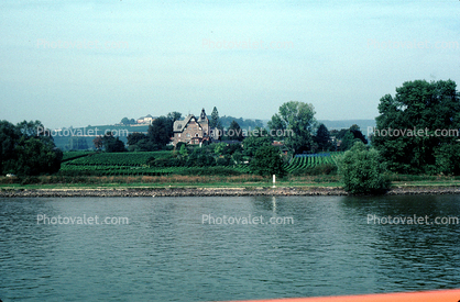 Home, Mansion, Trees, north of Mainz, Rhine River, (Rhein)