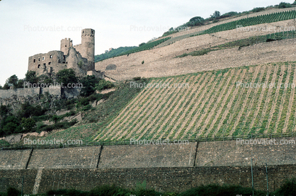 Castle, Hilltop, Mountains, wall, seawall, north of Mainz, Rhine River, (Rhein), The Ehrenfels ruins, near Rudesheim, Northwestern Wiesbaden