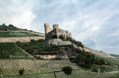 Castle, Vineyards, Hilltop, Mountain, north of Mainz, Rhine River, (Rhein), The Ehrenfels ruins, near Rudesheim, Northwestern Wiesbaden