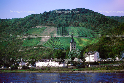 Church, Vineyards, Homes, Houses, Village, Town, Hilltop, Mountains, Rhine River Gorge, (Rhein), Rhine River