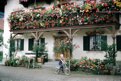Hanging Flowers, Building, Balcony, Mittenwald