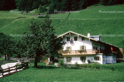 Home, House, Alps, Tree, Chalet, balcony, building, path, Raiusau