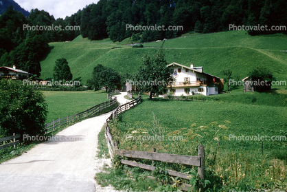 Path, pathway, Driveway, Road, Wooden Fence, Fields, Trees, Home, House, Alps, Tree, Raiusau