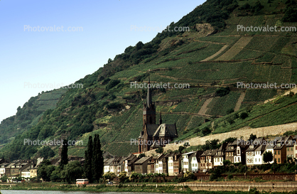 Church, Homes, Hillside, Mountains, Rhine River, (Rhein)