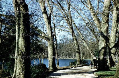 Stuttgart, Park, Bare Trees, Path, Walkway