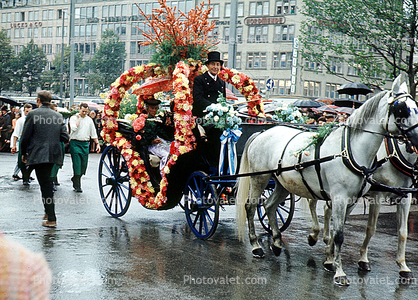 White Horse, Ornate Carriage, Rainy, opulant