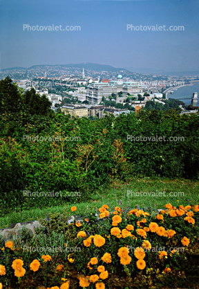 Garden, Danube River, Budapest
