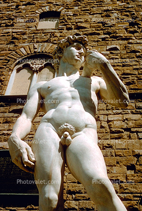 Statue of David, Replica, Florence