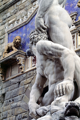 Lion, Hercules statue, Florence