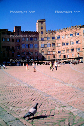 Piazza del Campo (main square),