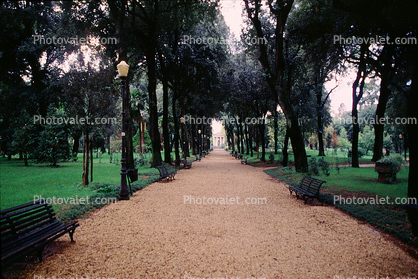 Path, Park Bench, Trees, Rome