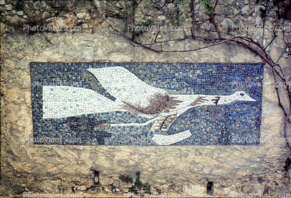 Bird, Tile Floor, Peace