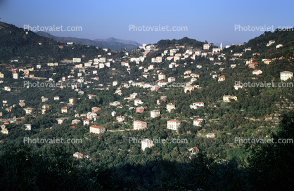 Village, homes, houses, Capri, Island