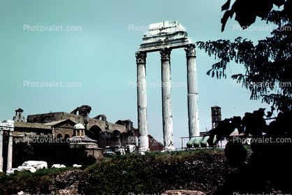 Palatine Ruins, June 1961