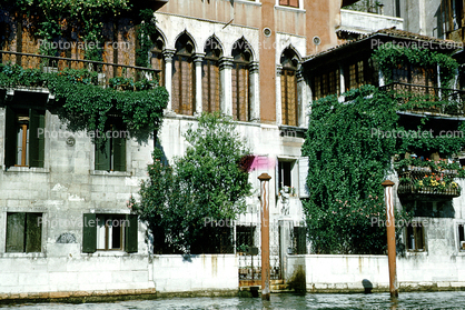 Venice Canal, Barbers Pole, ivy, buildings, balcony