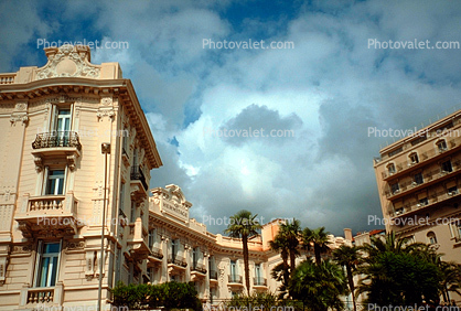 Palm Trees and a Building in Monaco