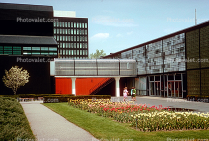 Tulip Garden, Pathway, Buildings, 1950s