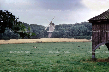 Grass, Lawn, Windmill