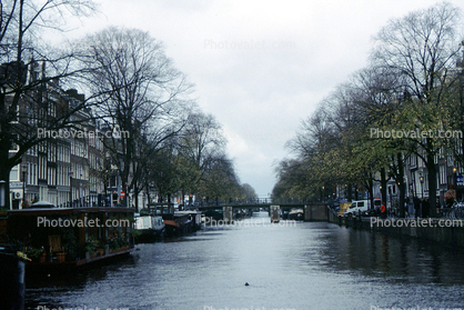 Canal, Waterway, Trees, Homes, Amsterdam