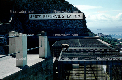Prince Ferdinand's Battery, April 1967, 1960s