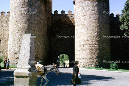 Avila, Turret, Tower, castle, palace, building, donkey