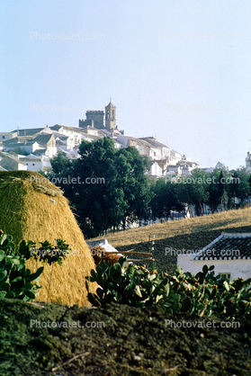 Village, Homes, houses, hillside, hill, buildings, haystack