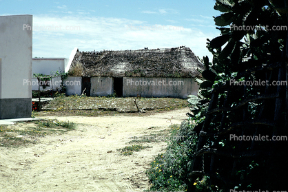farm house, grass thatched building