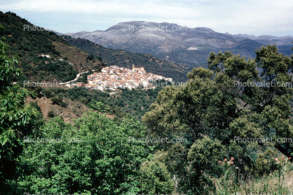 Town, Village, Mountains, trees, Ronda