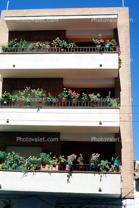 Balcony, building, apartment, housing, flat, house, flower pots, Ronda