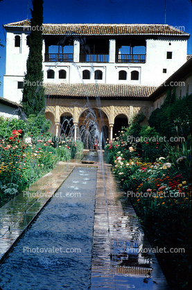 Water Fountain, pond, garden, building, palace, Alhambra