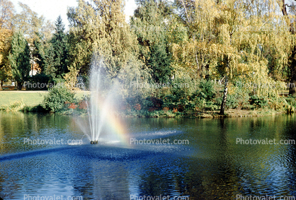 Pond, Water Fountain, aquatics, Gardens