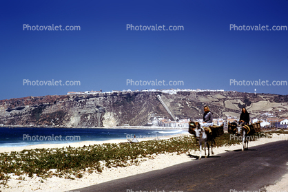 Burro, beach, ocean, road, Nazare