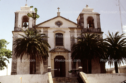 Church, Cathedral, christian, Building, Cross, religion, crucifix, palm trees