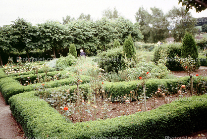 Garden, Knappogue