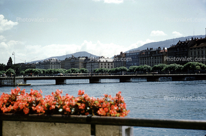River, Bridge, Buildings, Flowers, Geneva, Switzerland, 1950s