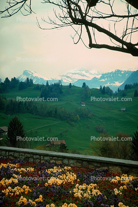 Switzerland, 1950s