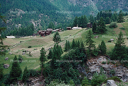 Fields, village, forest, Zermatt, Switzerland