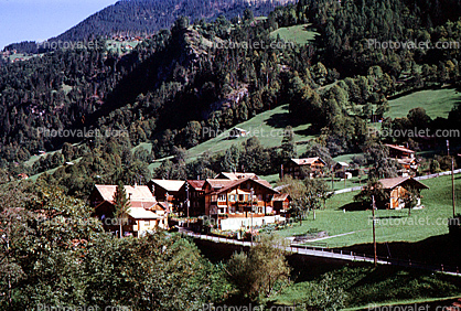 Forest, Homes, houses, valley, village, Lauterbrunnen, Switzerland