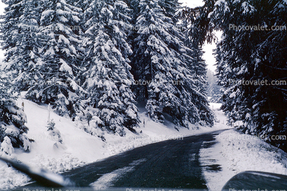 Road, Trees, Juan Pass, Switzerland