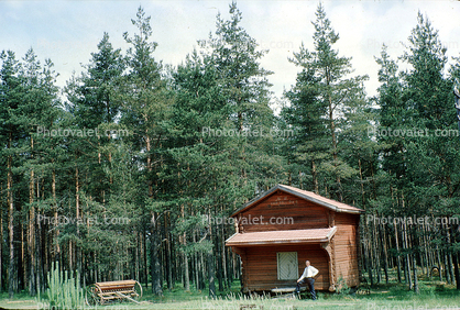 Log Cabin, Forest, Woodland