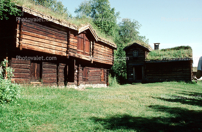 Trondheim Folk Museum, Log Cabin, Sod Roof House