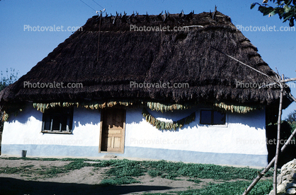 Home, House, Grass Roof, August 1968