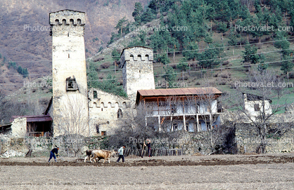 Plowing, Growing Field, Towers, Buildings, home, house, stone wall, Svaneti, Caucasus Mountains