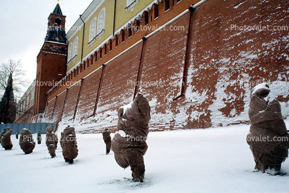 Red-Square, Kremlin Walls, snow, ice, cold, winter, wrapped Bushes, The Senate Tower