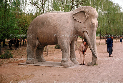 Elephant Statue, sculpture, ears, woman, tusk, face