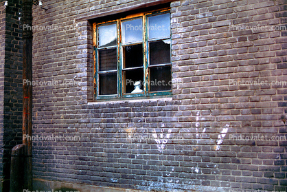 Window, brick wall