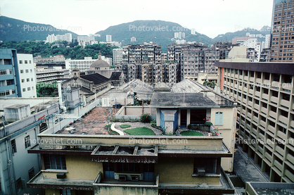 Rooftop Garden, Skyline, Cityscape, Buildings, Hills, 1982, 1980s